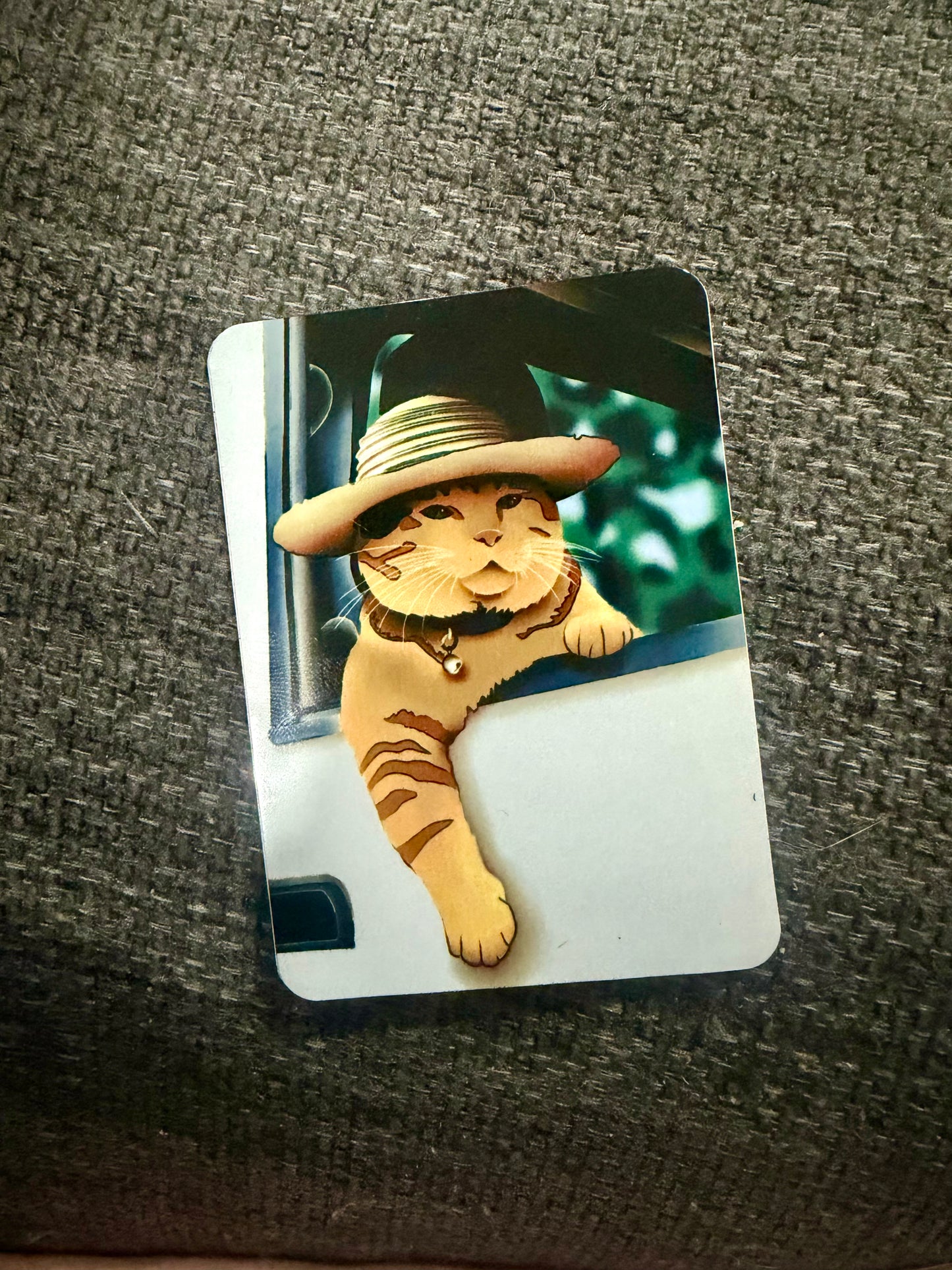 "Sunny Cat” – Fridge Magnet