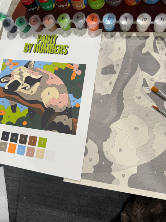 Paint By Numbers Kits