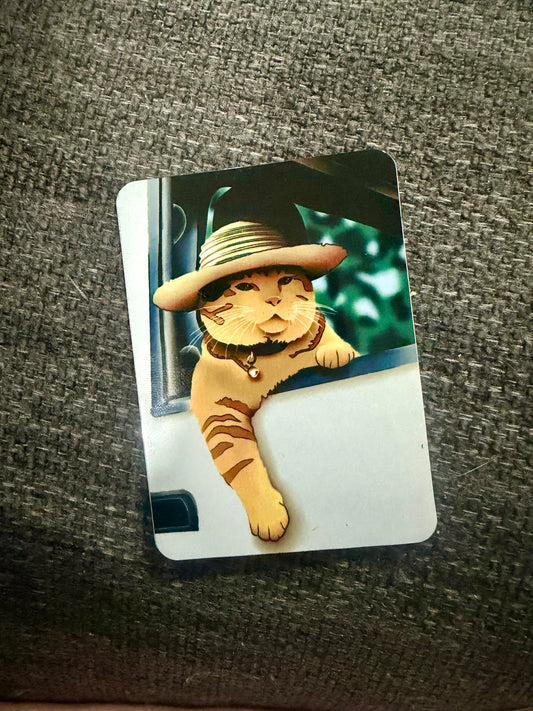 "Sunny Cat” – Fridge Magnet