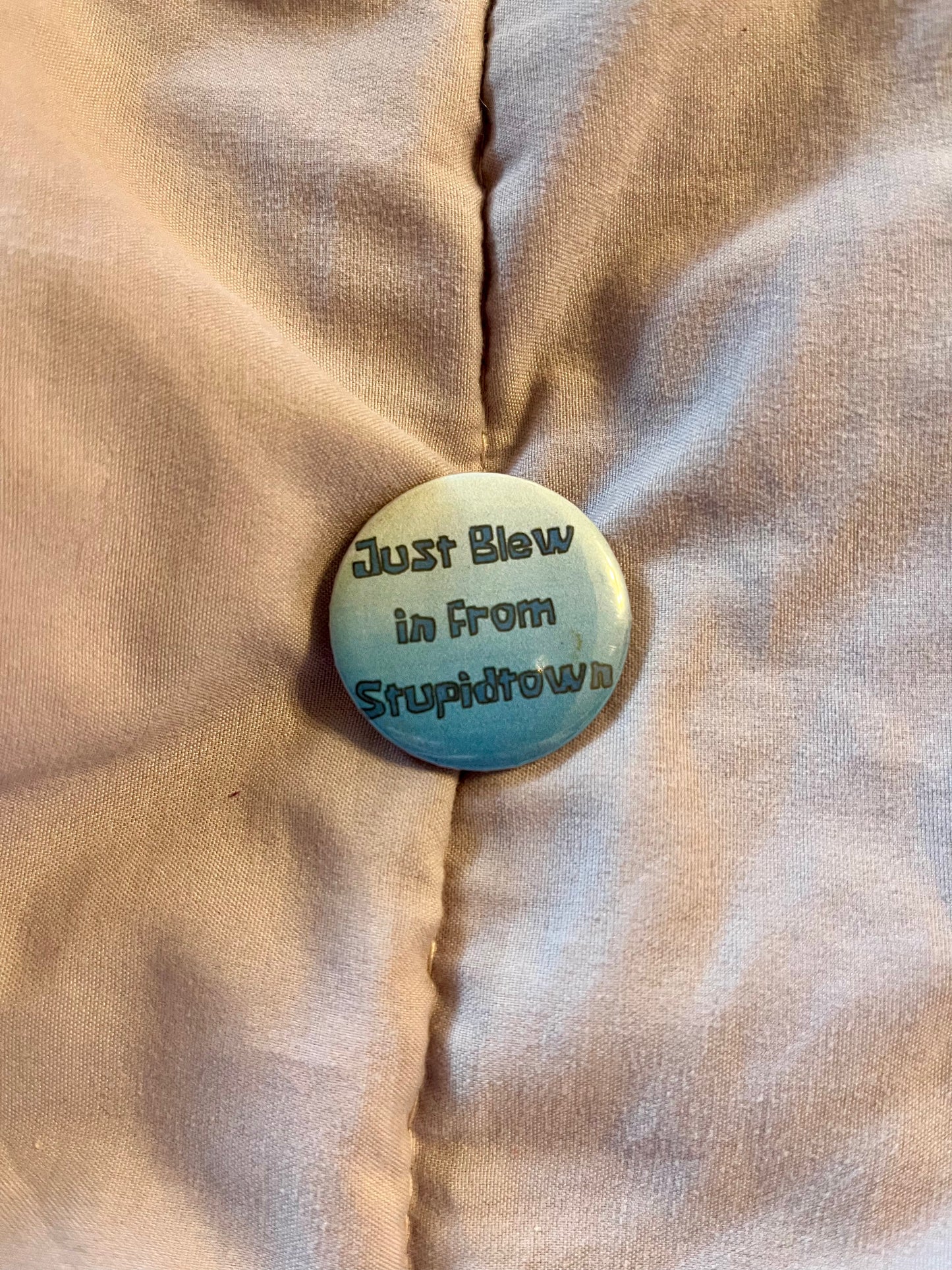 Just Blew In From Stupidtown – 1.25" Sarcastic Button Pin
