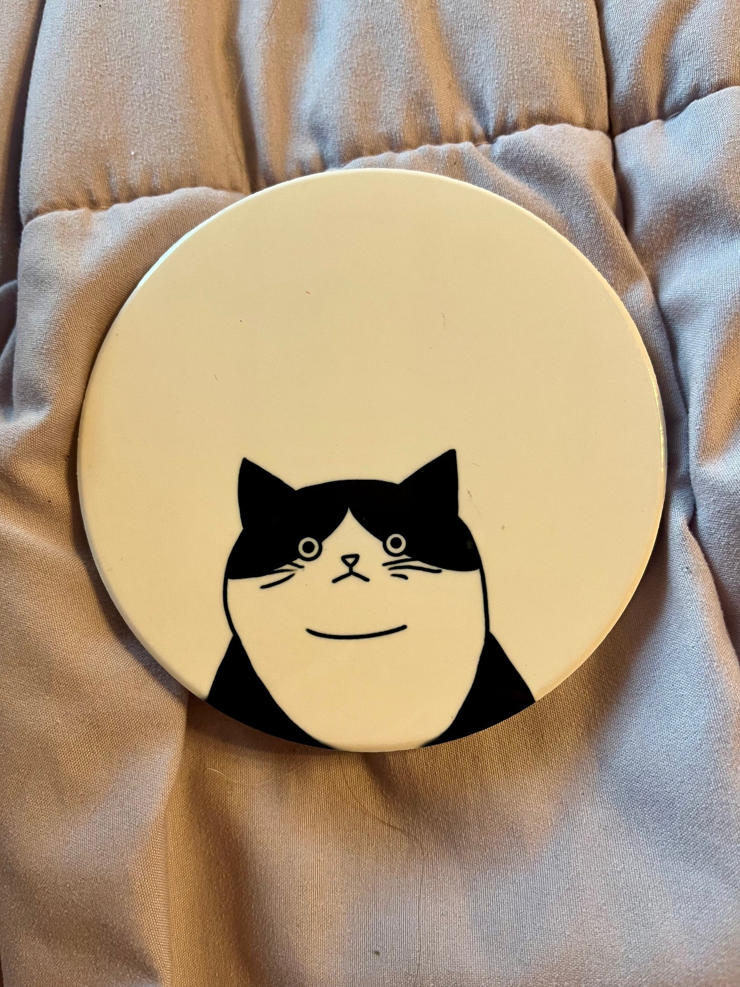 Silly Cat Ceramic Coasters – Funny Cat Drink Coasters (Set or Single)